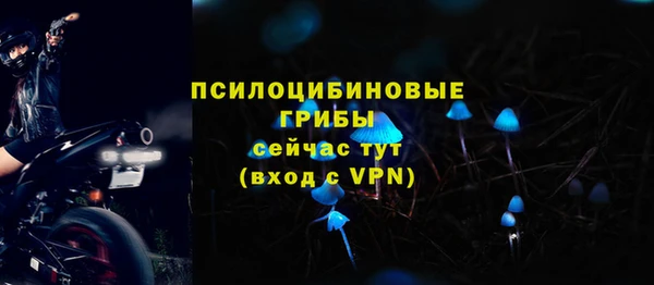 соль курить ск Арсеньев