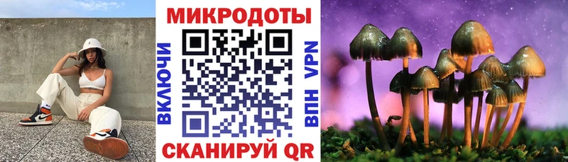 где купить наркоту  Печоры  Галлюциногенные грибы мухоморы 